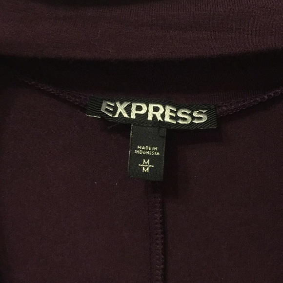 Express Dress - Picture 3 of 3